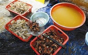 食物最新事件爆料新闻,食物安全事件频发,消费者权益如何保障? 第3张 食物最新事件爆料新闻,食物安全事件频发,消费者权益如何保障? 第3张